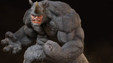 Rhino - Image 1
