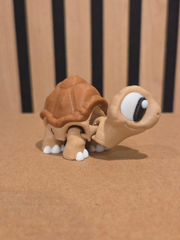 Tortue Articulée