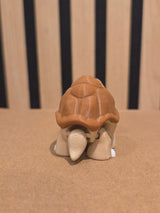 Tortue Articulée