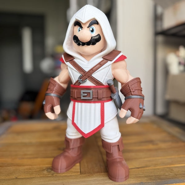 Mario Assassin's Creed
